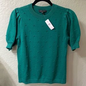 Ann Taylor Green Pom Pom Sweater